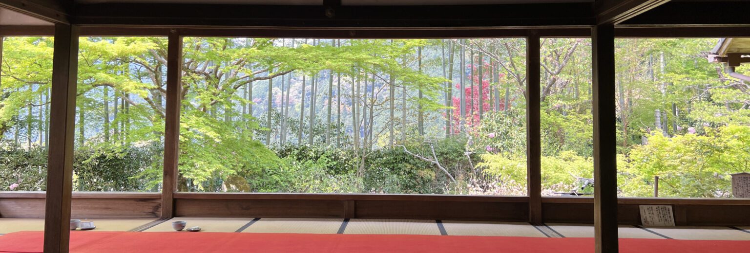 El jardín enmarcado de Hōsen-in, un templo de Ohara, Kioto: un bosque de bambú visto desde la sala de tatami vacía, al otro lado de una estera de fieltro rojo. Fotografía de Shoko Shiraishi, abril de 2022.