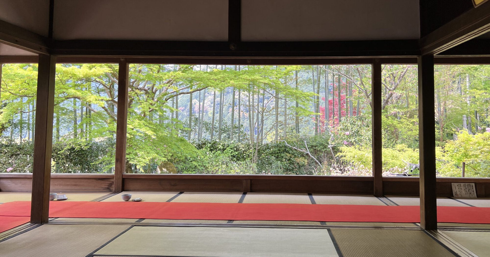 El jardín enmarcado de Hōsen-in, un templo de Ohara, Kioto: un bosque de bambú y arces jóvenes vistos desde la sala de tatami vacía, al otro lado de una estera de fieltro rojo. Fotografía de Shoko Shiraishi, abril de 2022.